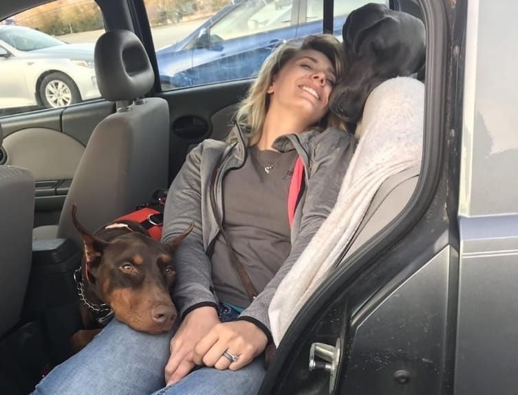 Service Doberman and Labrador caring for their owner.