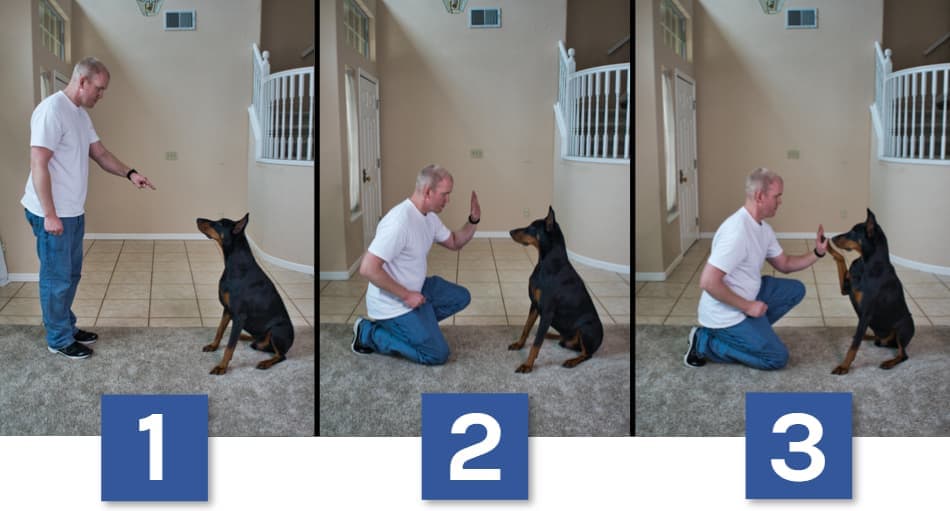 High Five